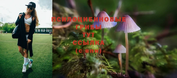 герыч Алзамай