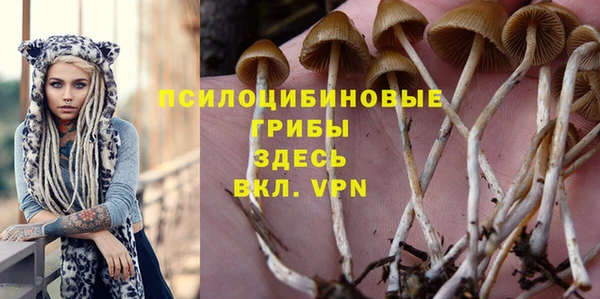 герыч Алзамай