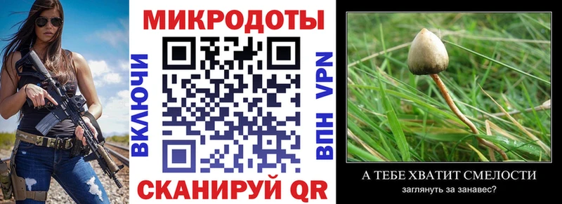 где купить наркоту  Цоци-Юрт  Псилоцибиновые грибы Cubensis 